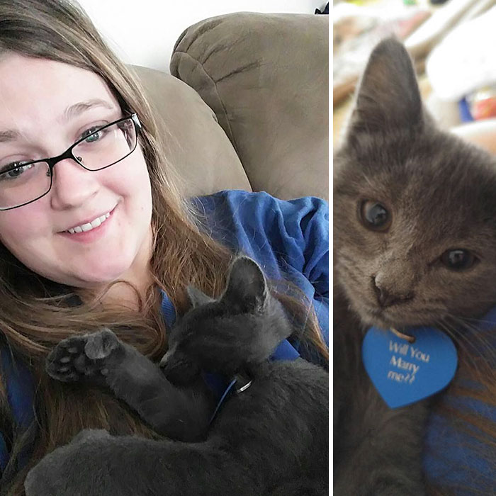1544193765-8888-girlfriend-tiny-rescue-cat-2.jpg (700Ã700)